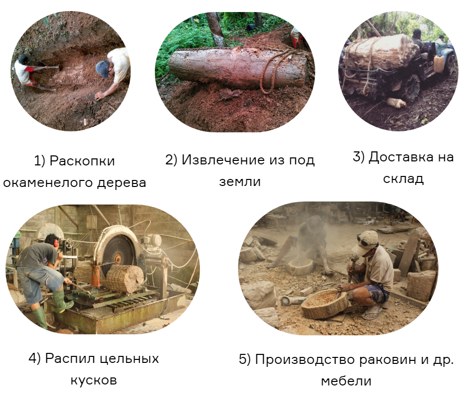 Процесс добывания и производства раковин из окаменелого дерева