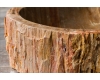 Раковина-чаша Natural Stone Petra Gold из натурального окаменелого дерева