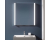 Зеркальный шкафчик Laufen Frame25 60 см (4.0840.2.900.144.1) Серый